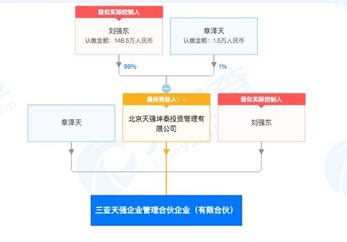 劉強東章澤天攜手創立天強企業，三亞合伙公司布局信息技術新賽道