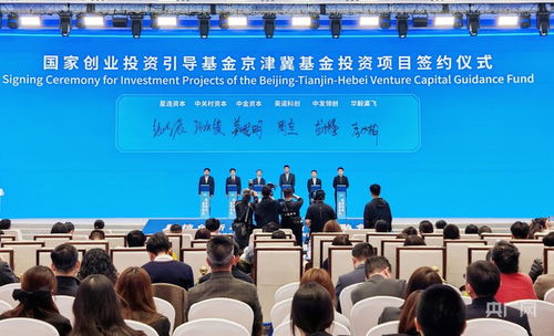 北京向新而生 一場科技創新與資本信心的雙向奔赴
